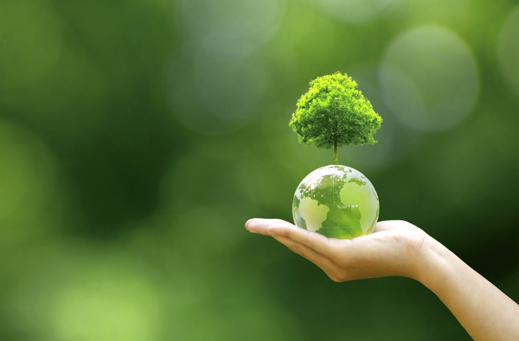 sustainability